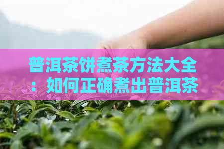 普洱茶饼煮茶方法大全：如何正确煮出普洱茶饼的好味道？