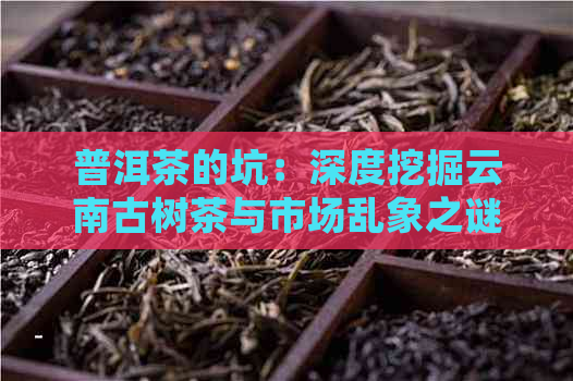 普洱茶的坑：深度挖掘云南古树茶与市场乱象之谜