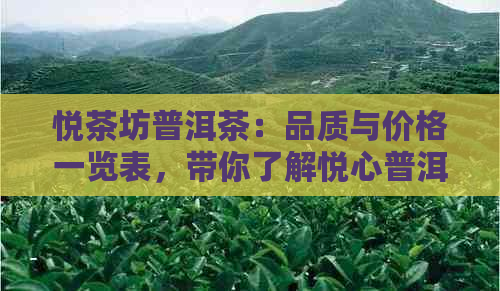 悦茶坊普洱茶：品质与价格一览表，带你了解悦心普洱茶