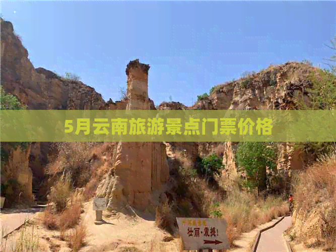 5月云南旅游景点门票价格