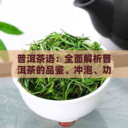 普洱茶语：全面解析普洱茶的品鉴、冲泡、功效与收藏