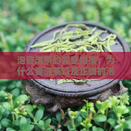 泡普洱茶的完整指南：为什么要洗茶以及正确的泡茶方法