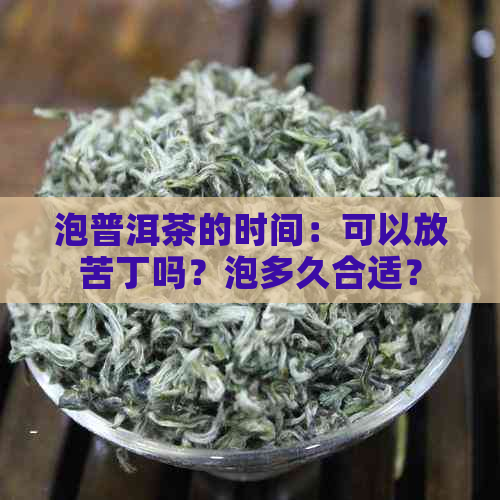 泡普洱茶的时间：可以放苦丁吗？泡多久合适？