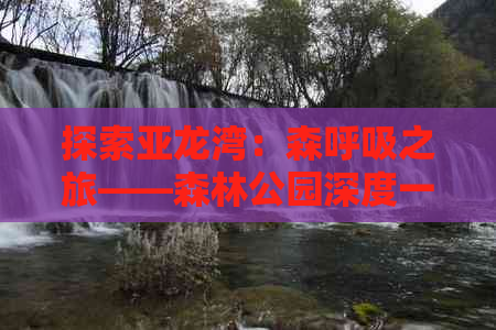 探索亚龙湾：森呼吸之旅——森林公园深度一日游攻略