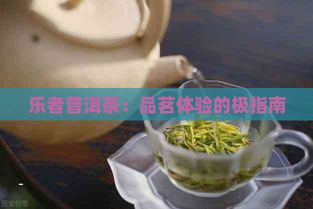 乐者普洱茶：品茗体验的极指南