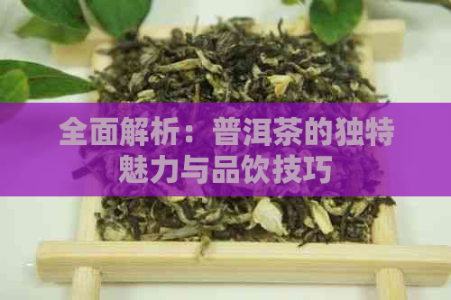 全面解析：普洱茶的独特魅力与品饮技巧