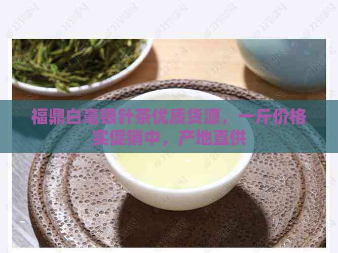 福鼎白毫银针茶优质货源，一斤价格实促销中，产地直供