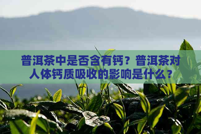 普洱茶中是否含有钙？普洱茶对人体钙质吸收的影响是什么？