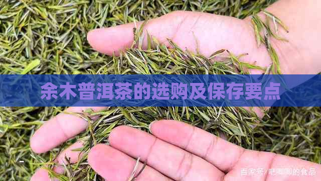 余木普洱茶的选购及保存要点