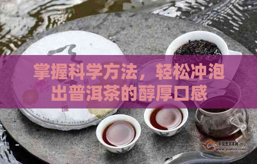 掌握科学方法，轻松冲泡出普洱茶的醇厚口感