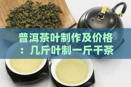 普洱茶叶制作及价格：几斤叶制一斤干茶，采摘标准与原料。