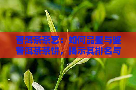 普洱茶茶艺：如何品鉴与鉴普洱茶茶饼，揭示其排名与制作技艺