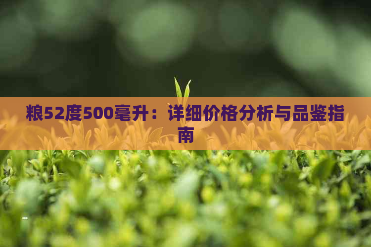 粮52度500毫升：详细价格分析与品鉴指南