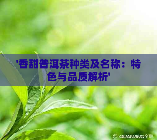 '香甜普洱茶种类及名称：特色与品质解析'