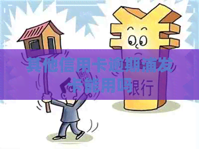 其他信用卡逾期浦发卡能用吗