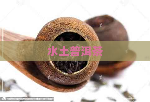 水土普洱茶