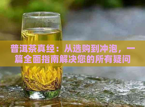 普洱茶真经：从选购到冲泡，一篇全面指南解决您的所有疑问