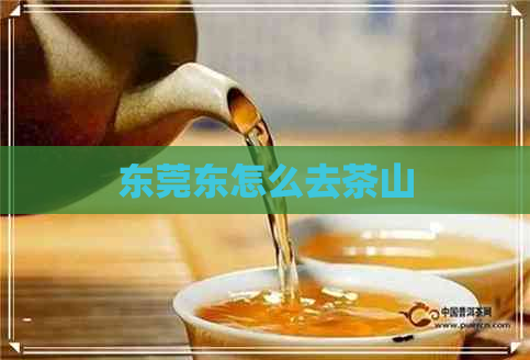 东莞东怎么去茶山