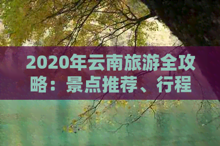 2020年云南旅游全攻略：景点推荐、行程规划、住宿与美食一应俱全