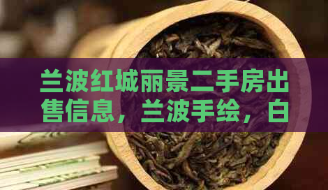 兰波红城丽景二手房出售信息，兰波手绘，白楚年退出