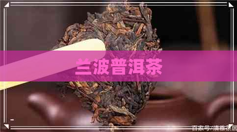 兰波普洱茶