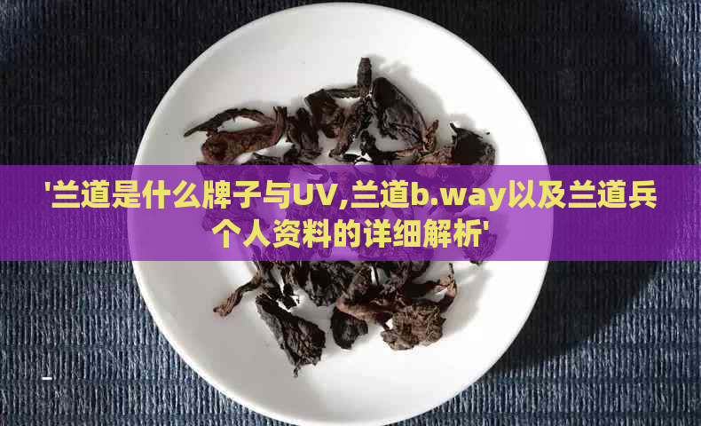 '兰道是什么牌子与UV,兰道b.way以及兰道兵个人资料的详细解析'