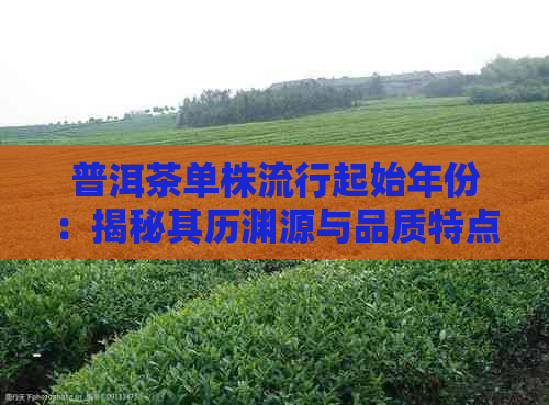 普洱茶单株流行起始年份：揭秘其历渊源与品质特点