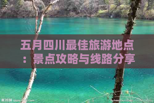 五月四川更佳旅游地点：景点攻略与线路分享-五月四川省内旅游景点推荐