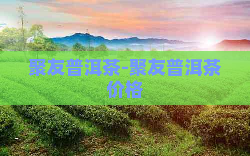 聚友普洱茶-聚友普洱茶价格