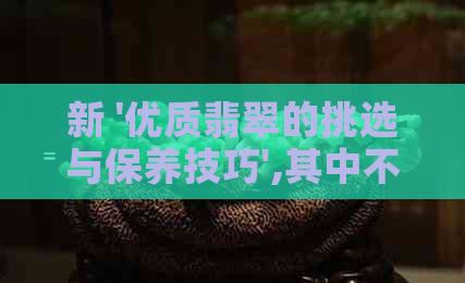 新 '优质翡翠的挑选与保养技巧',其中不包含老这个词汇。