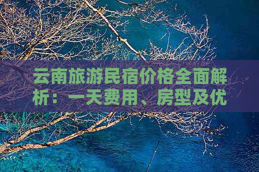 云南旅游民宿价格全面解析：一天费用、房型及优惠详情大揭秘！