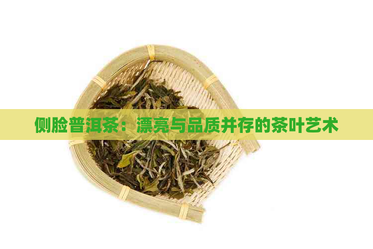 侧脸普洱茶：漂亮与品质并存的茶叶艺术