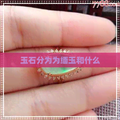 玉石分为为缅玉和什么