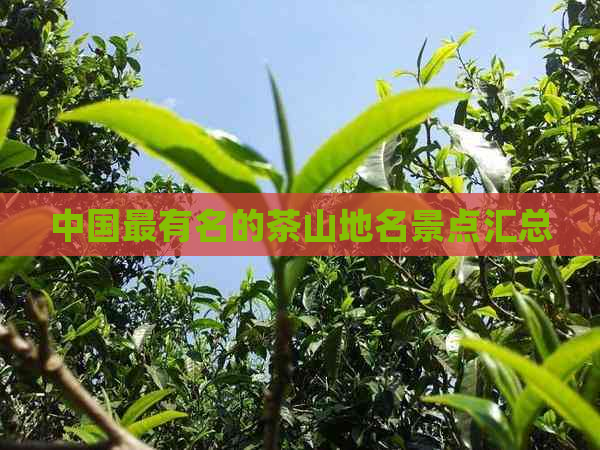 中国最有名的茶山地名景点汇总