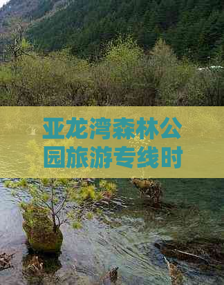 亚龙湾森林公园旅游专线时刻表及全年运行时间指南