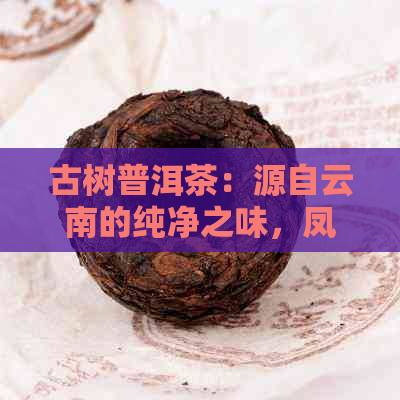 古树普洱茶：源自云南的纯净之味，凤凰山的独特魅力