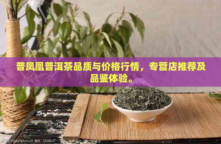 普凤凰普洱茶品质与价格行情，专营店推荐及品鉴体验。