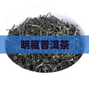 明藏普洱茶