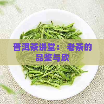 普洱茶讲堂： 老茶的品鉴与欣