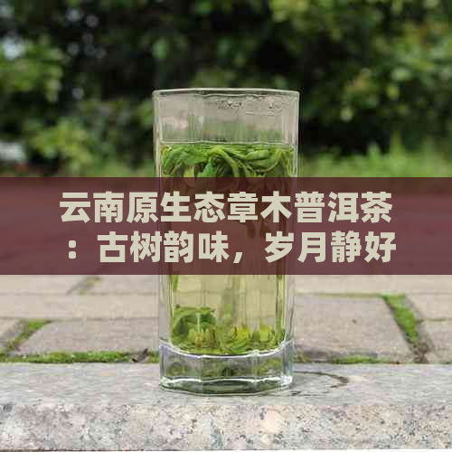 云南原生态章木普洱茶：古树韵味，岁月静好