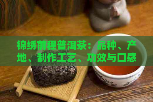 锦绣前程普洱茶：品种、产地、制作工艺、功效与口感全面解析