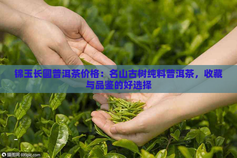 锦玉长圆普洱茶价格：名山古树纯料普洱茶，收藏与品鉴的好选择