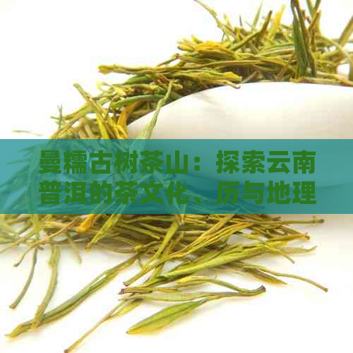 曼糯古树茶山：探索云南普洱的茶文化、历与地理之美