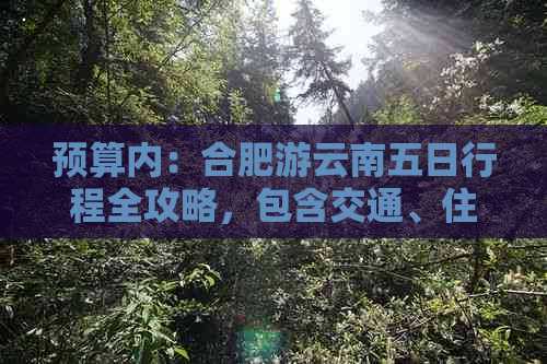 预算内：合肥游云南五日行程全攻略，包含交通、住宿和美食