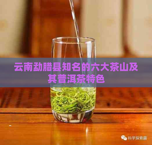 云南勐腊县知名的六大茶山及其普洱茶特色