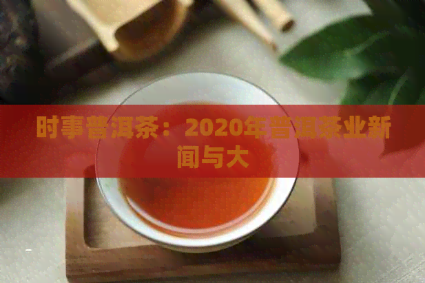 时事普洱茶：2020年普洱茶业新闻与大