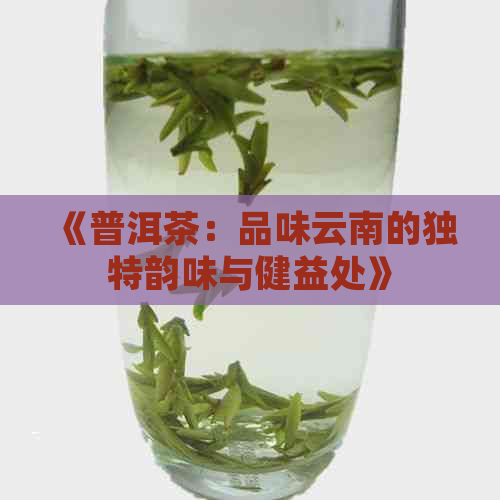 《普洱茶：品味云南的独特韵味与健益处》