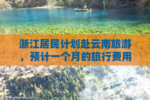 浙江居民计划赴云南旅游，预计一个月的旅行费用需要多少？