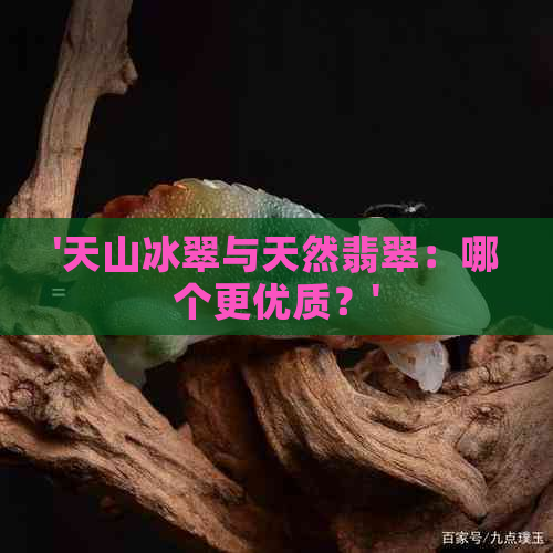 '天山冰翠与天然翡翠：哪个更优质？'