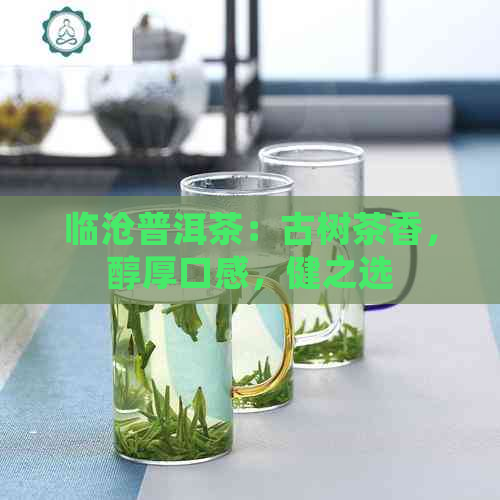 临沧普洱茶：古树茶香，醇厚口感，健之选